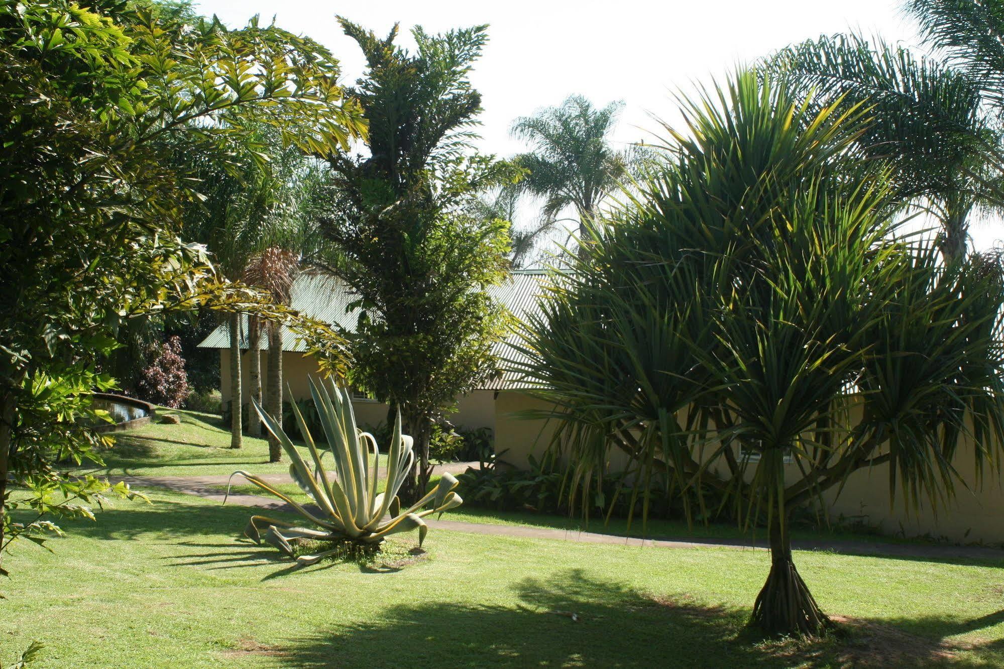 Nabana Lodge هازيفيو المظهر الخارجي الصورة